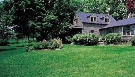 Local outdoor landscaping for residential properties in Rex, GA by The Best Grass