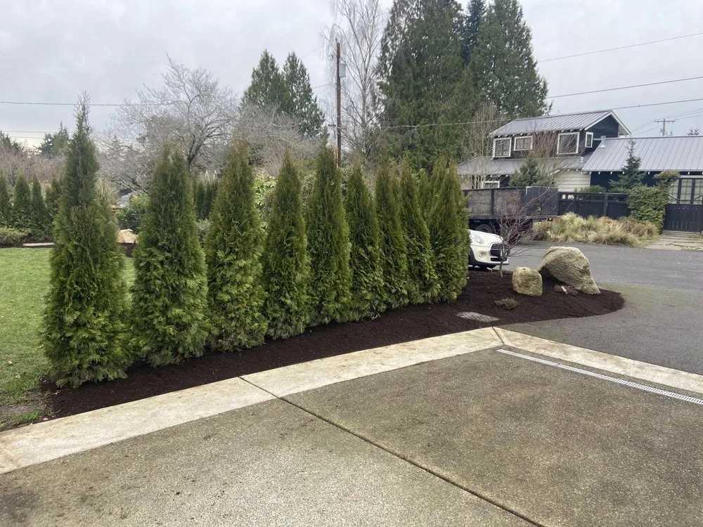 Affordable outdoor landscaping experts serving Federal Way, WA - The Best Green Landscape
