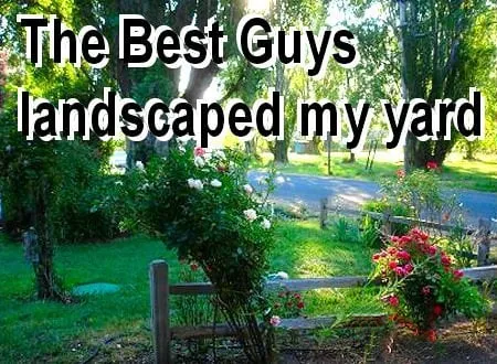 Affordable yard cleanup service experts serving Santa Rosa, CA - The Best Guys