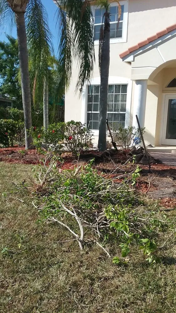 Reliable yard cleanup service in Fort Lauderdale, FL - The Best In The Business