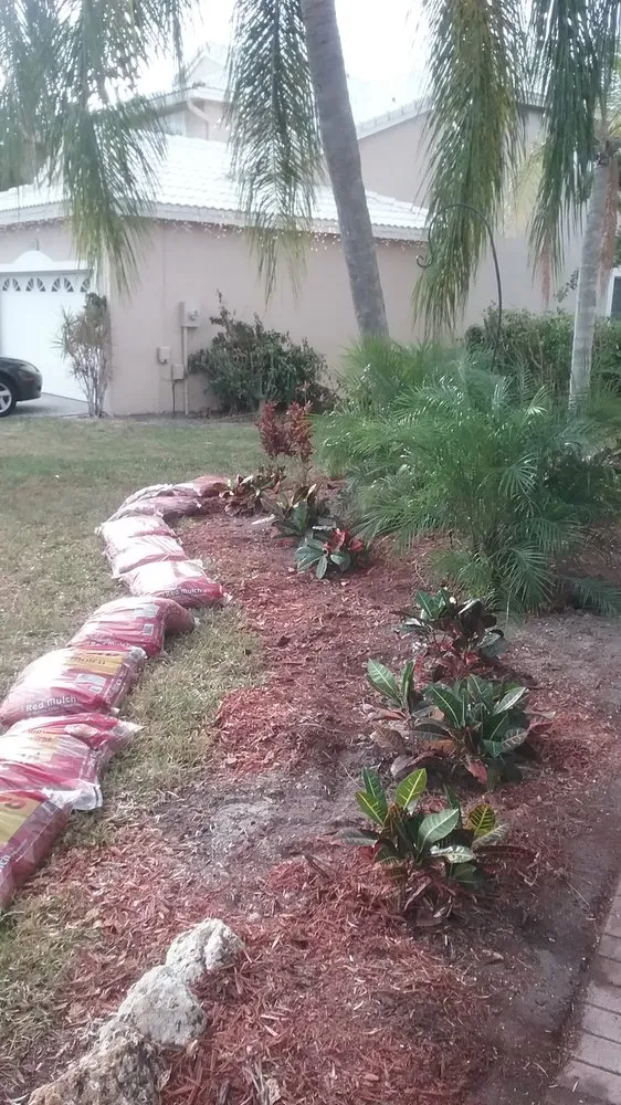 Expert lawn care service for residential properties across Fort Lauderdale, FL - The Best In The Business