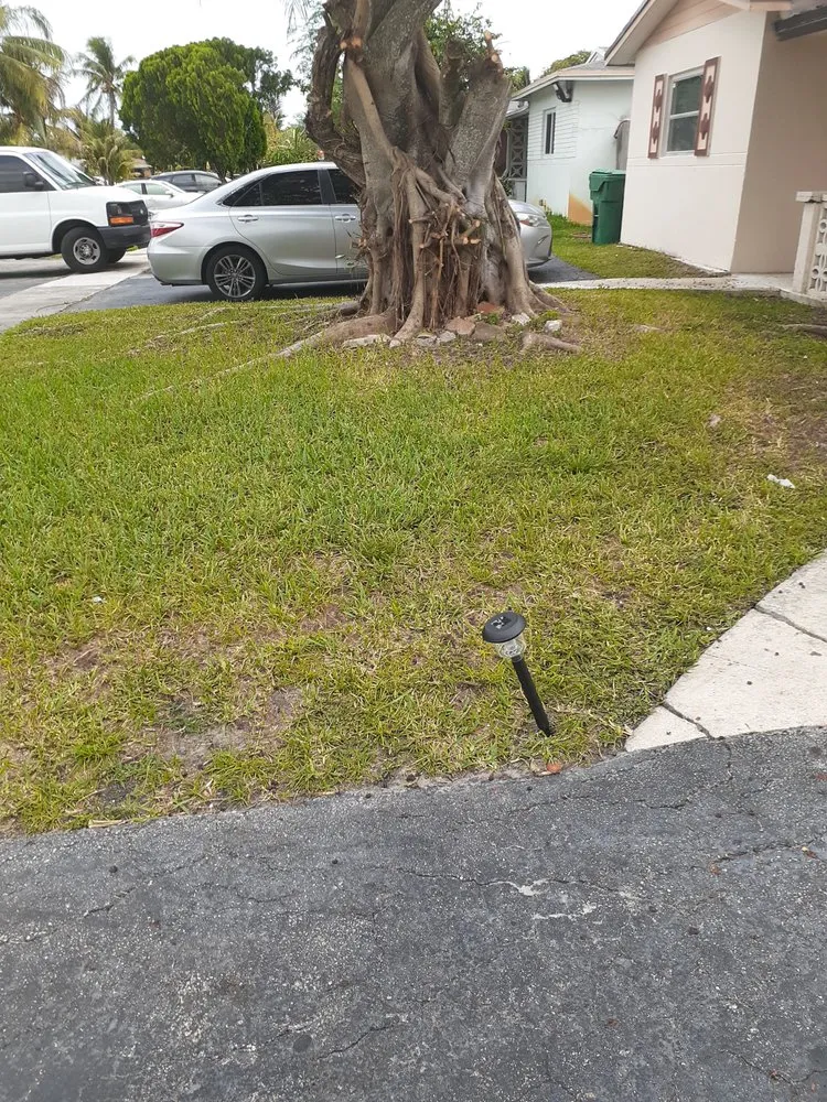 Expert yard maintenance in Fort Lauderdale, FL - The Best In The Business