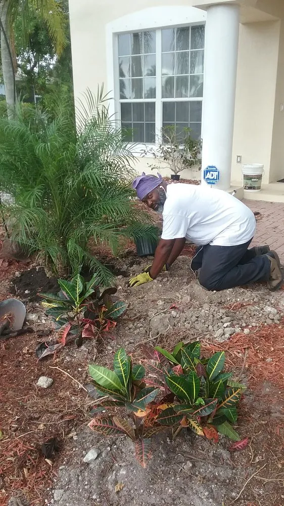 Reliable lawn care service for homes across Fort Lauderdale, FL - The Best In The Business