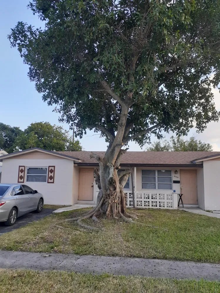 Top-rated outdoor landscaping in Fort Lauderdale, FL by The Best In The Business