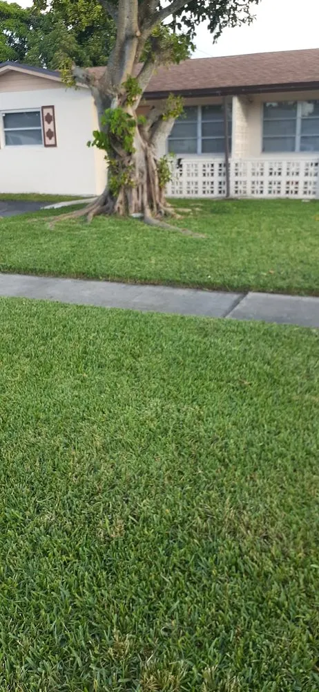 Trusted landscape installation for year-round maintenance across Fort Lauderdale, FL - The Best In The Business