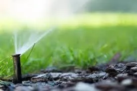 Professional yard cleanup service experts serving Reston, VA - The Best Irrigation System
