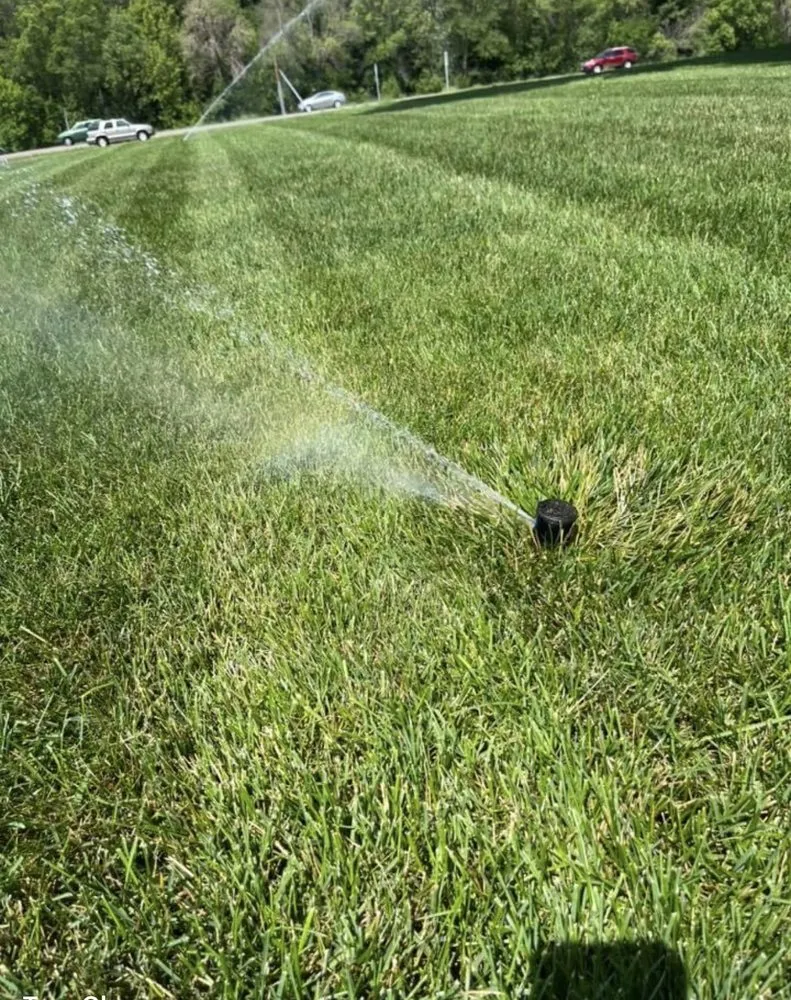 Professional garden landscaping for residential properties in Reston, VA by The Best Irrigation System