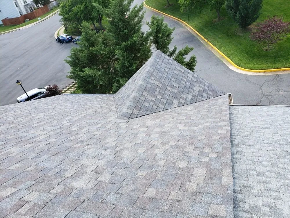 Custom lawn care service with custom design in Alexandria, VA by The Best Landscaping & Remodeling