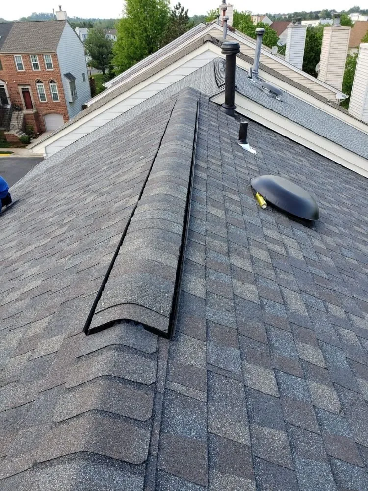 Expert lawn care service for beautiful yards in Alexandria, VA by The Best Landscaping & Remodeling