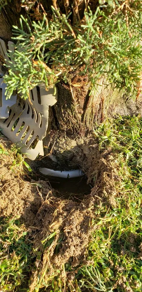 Trusted landscape design experts serving Bakersfield, CA - The Best Landscaping