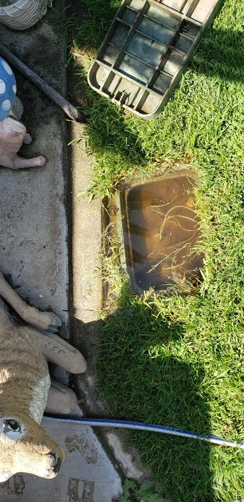 Affordable garden landscaping experts serving Bakersfield, CA - The Best Landscaping