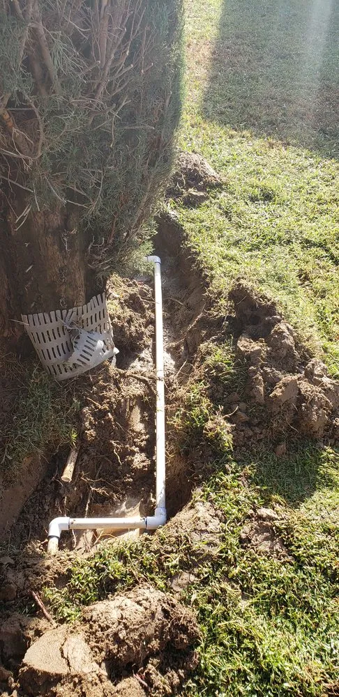 Local yard maintenance with custom design in Bakersfield, CA by The Best Landscaping