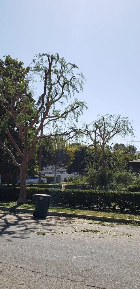 Custom landscape installation in Bakersfield, CA - The Best Landscaping