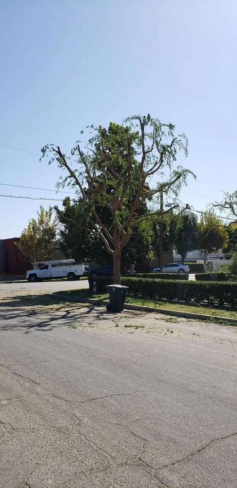 Affordable yard maintenance experts serving Bakersfield, CA - The Best Landscaping