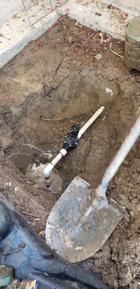 Custom yard maintenance in Bakersfield, CA - The Best Landscaping