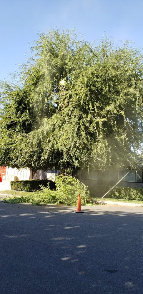 Reliable yard maintenance experts serving Bakersfield, CA - The Best Landscaping