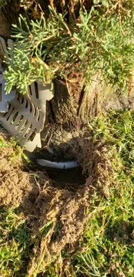 The Best Landscaping Logo