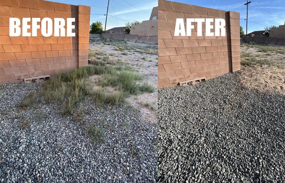 Professional outdoor landscaping in Albuquerque, NM by The Best Lawn & Hauling