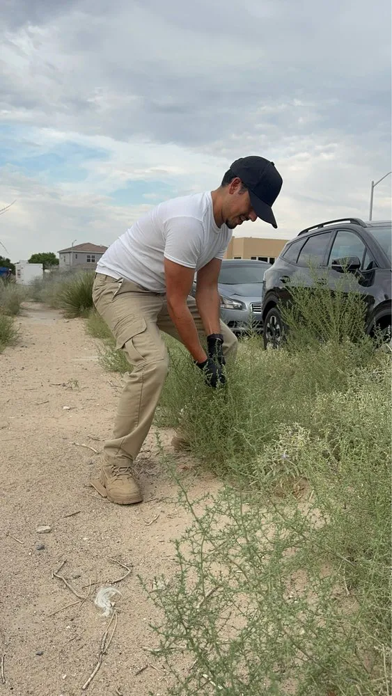 Custom landscaping services experts serving Albuquerque, NM - The Best Lawn & Hauling