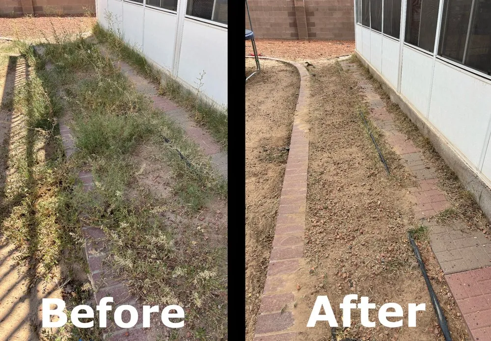 Professional landscape installation in Albuquerque, NM - The Best Lawn & Hauling