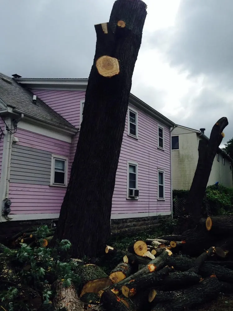 Local yard maintenance in Providence, RI by The Best Never Rest Landscaping