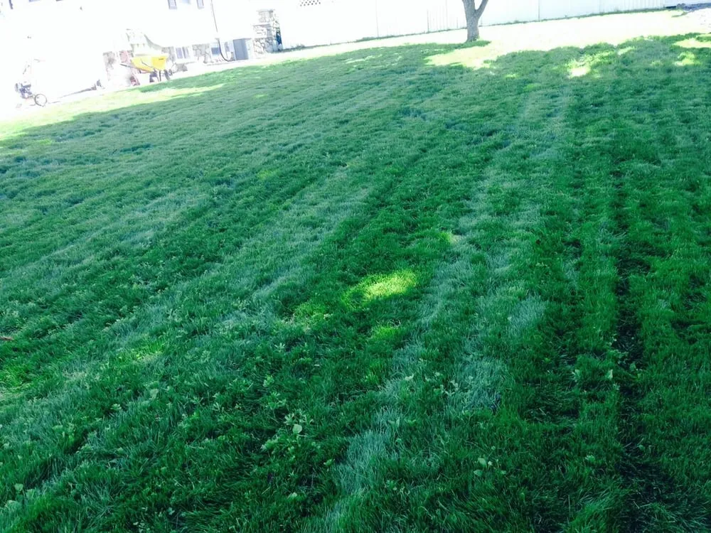 Affordable garden landscaping in Providence, RI by The Best Never Rest Landscaping