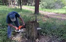 Custom outdoor landscaping in Providence, RI - The Best Never Rest Landscaping