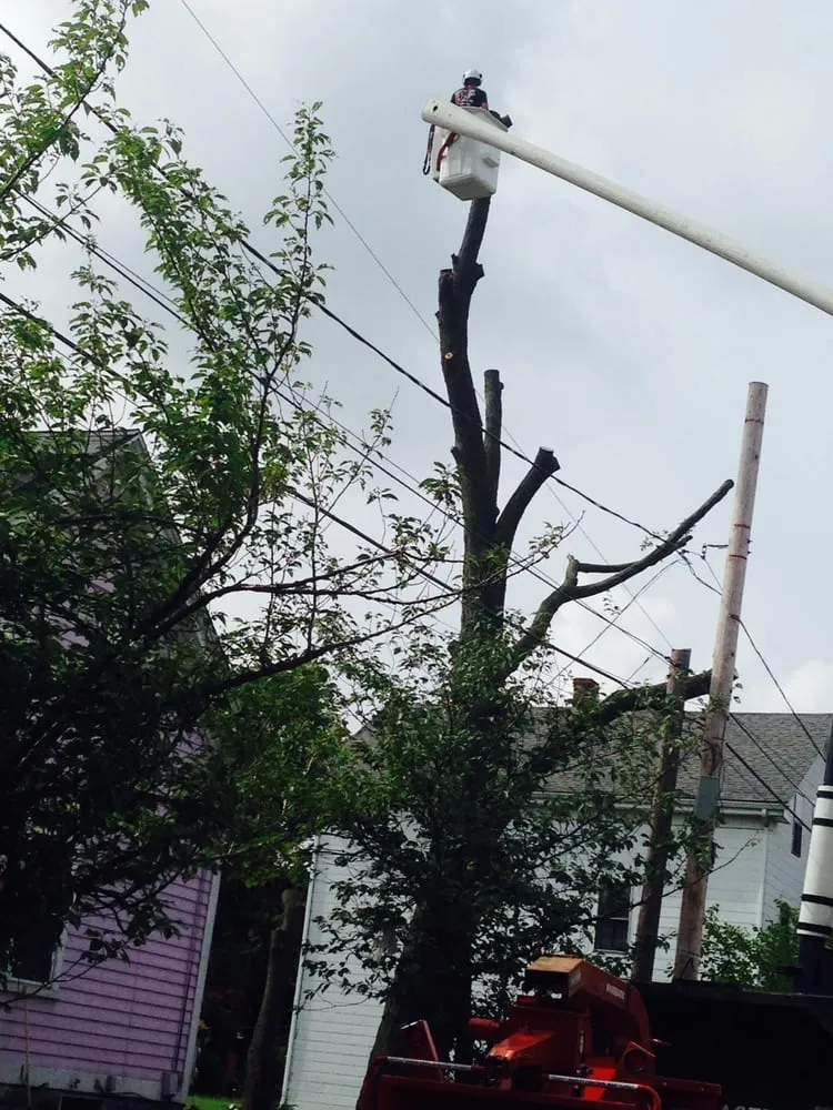 Local lawn mowing service in Providence, RI - The Best Never Rest Landscaping