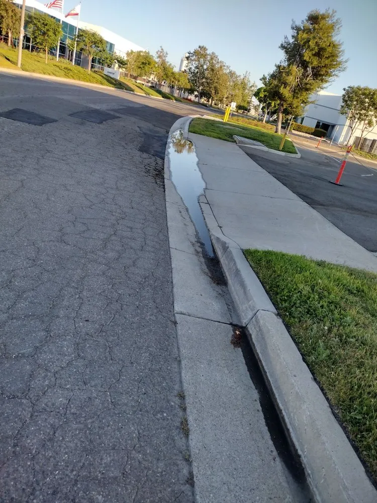 Affordable residential landscaping in Costa Mesa, CA by The Best Tree Service