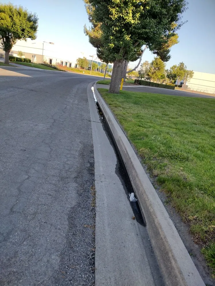 Top-rated lawn care service for year-round maintenance across Costa Mesa, CA - The Best Tree Service