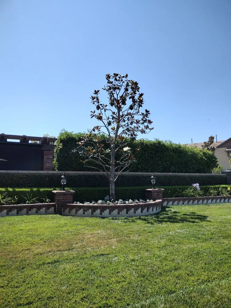 Custom outdoor landscaping in Costa Mesa, CA by The Best Tree Service