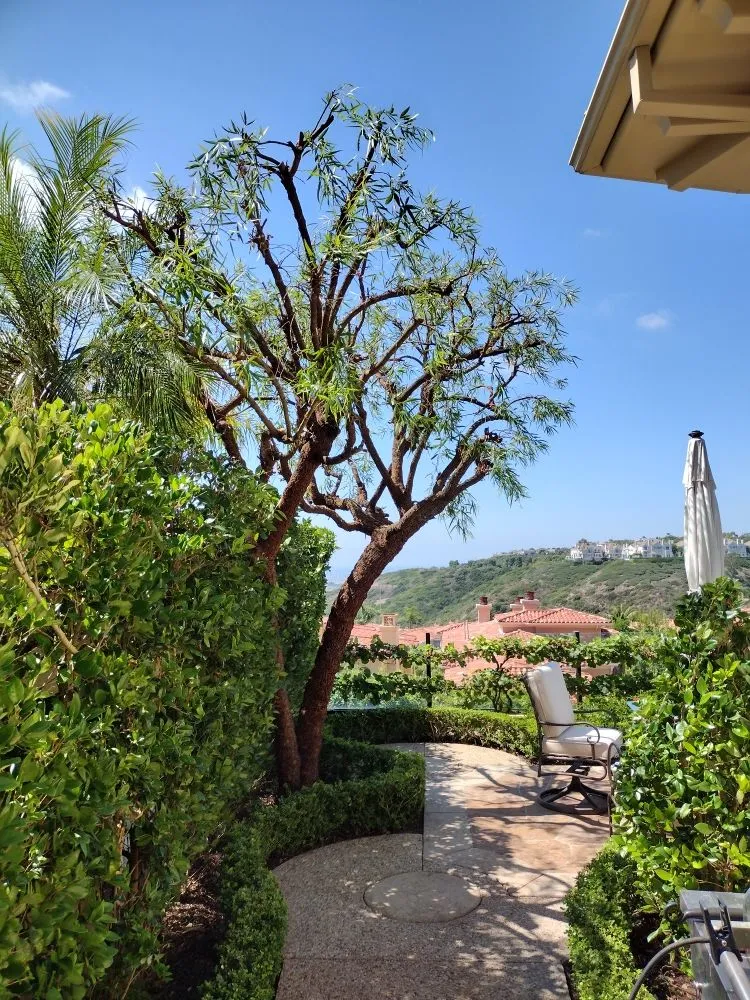 Local garden landscaping experts serving Costa Mesa, CA - The Best Tree Service