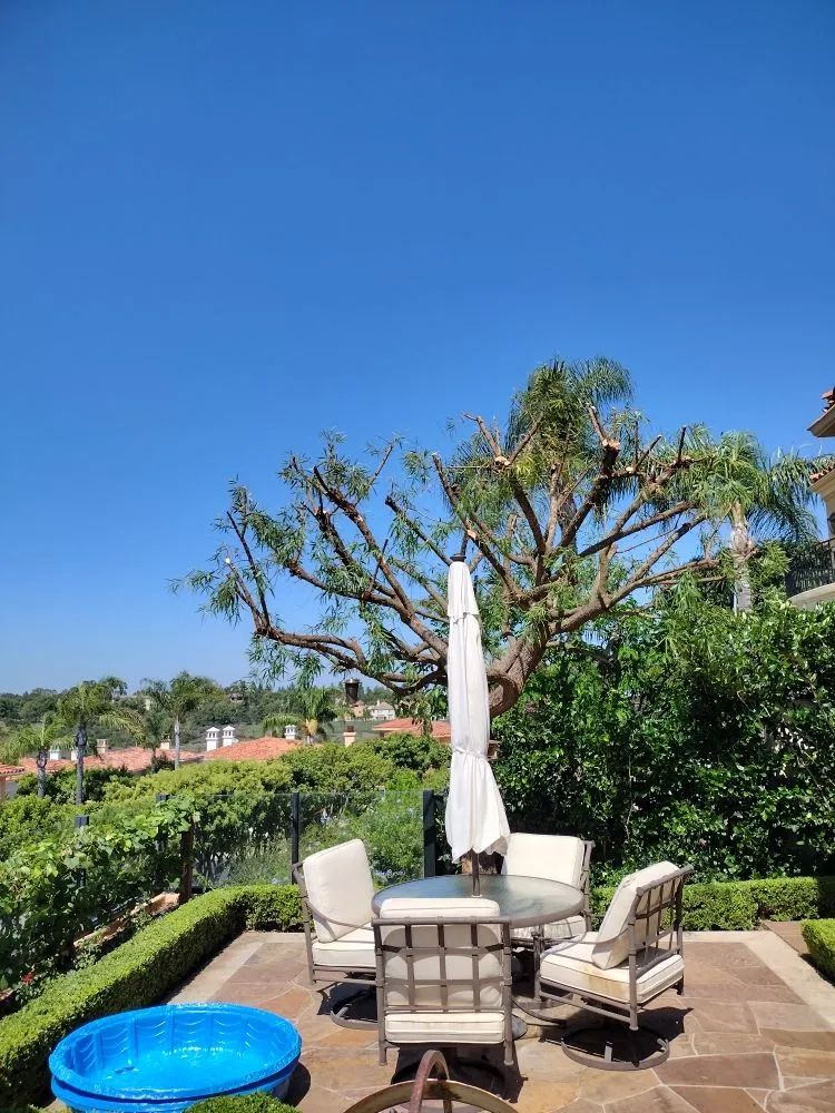 Trusted garden landscaping for residential properties across Costa Mesa, CA - The Best Tree Service