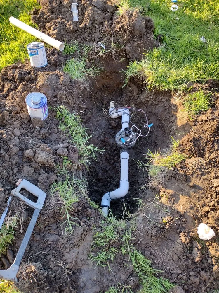 Custom landscaping services near you in Costa Mesa, CA by The Best Tree Service