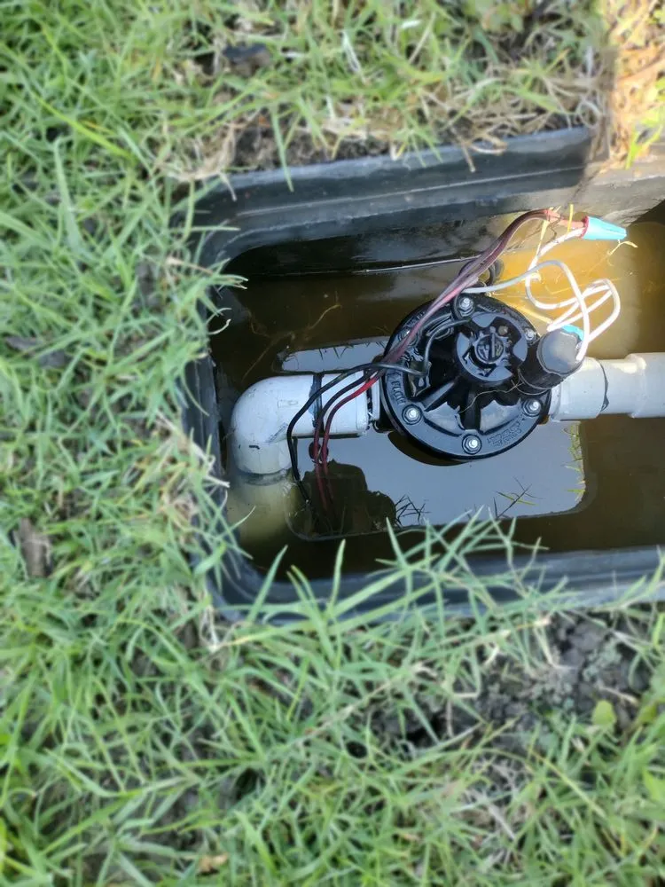 Custom residential landscaping in Costa Mesa, CA - The Best Tree Service