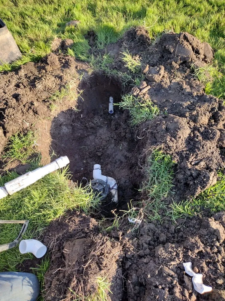 Reliable yard cleanup service for homes in Costa Mesa, CA by The Best Tree Service