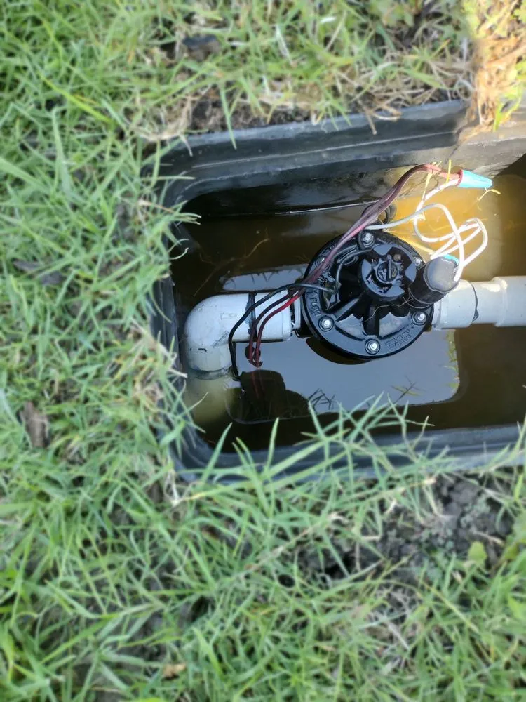 Trusted landscape design in Costa Mesa, CA - The Best Tree Service