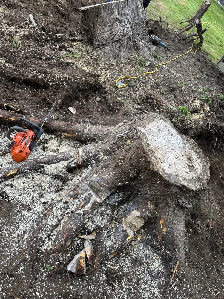 Affordable residential landscaping for outdoor upgrades in Mount Vernon, WA by The Best Valley Landscaping