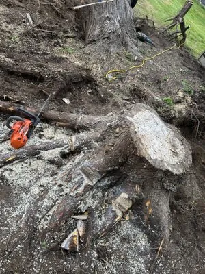 The Best Valley Landscaping Logo