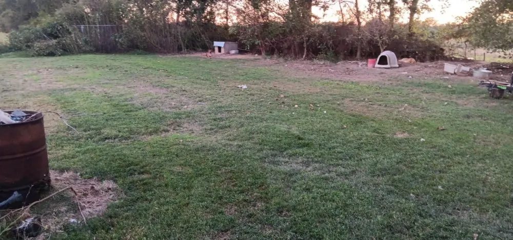 Custom yard maintenance with custom design across Martin, TN - The Better Choice Junk And Lawn Care