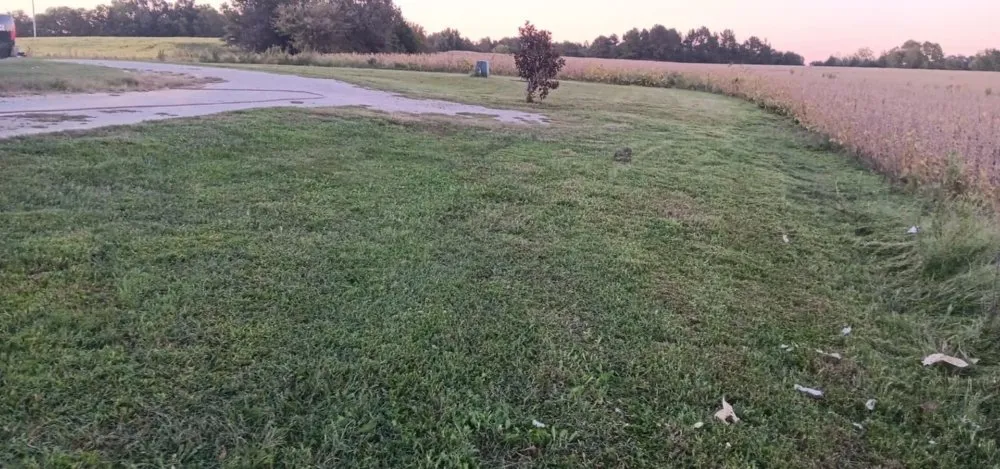 Trusted lawn mowing service in Martin, TN - The Better Choice Junk And Lawn Care