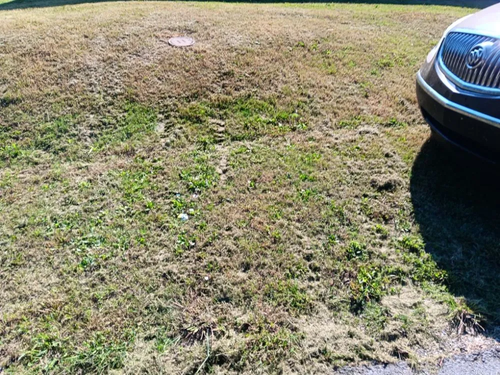 Custom lawn care service near you in Martin, TN by The Better Choice Junk And Lawn Care