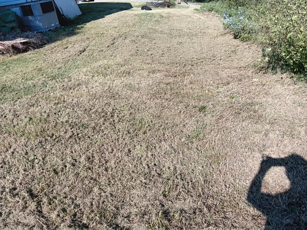 Custom yard cleanup service in Martin, TN - The Better Choice Junk And Lawn Care