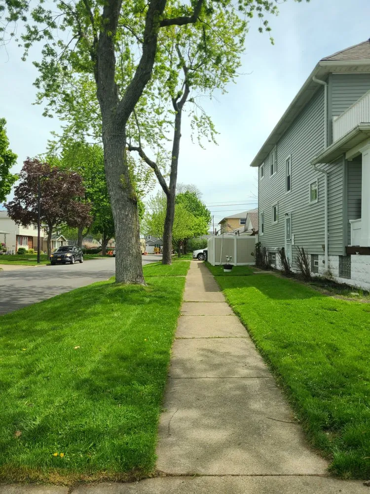 Professional yard cleanup service for residential properties in Buffalo, NY by The Better Option Lawn Care