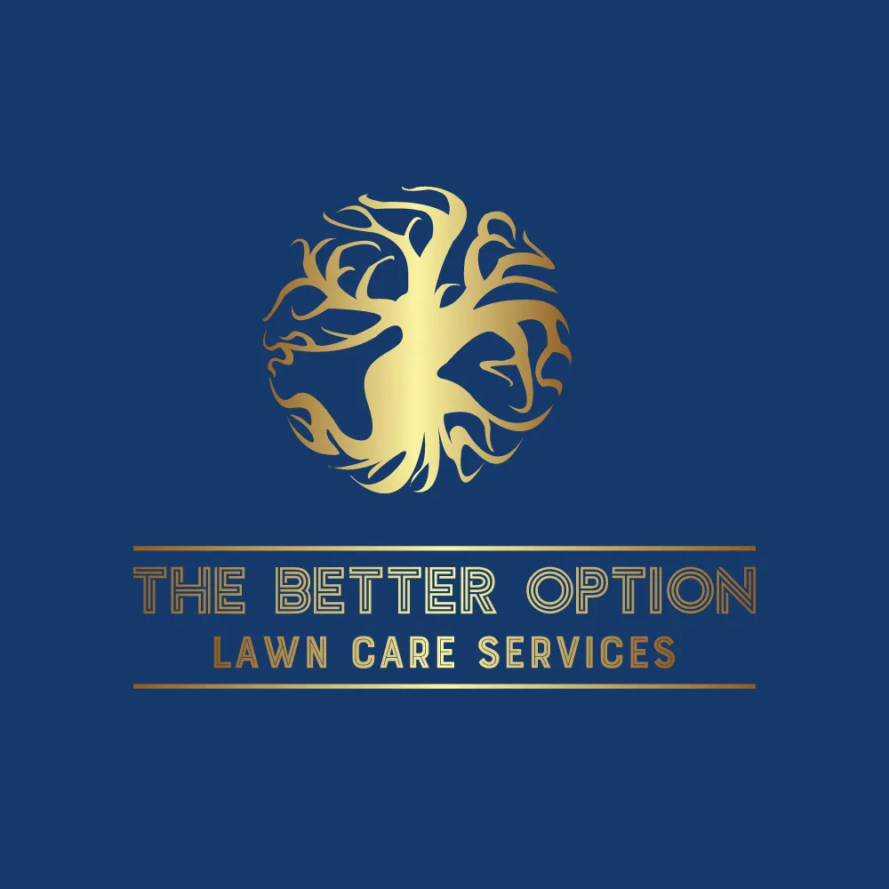 Expert yard cleanup service for year-round maintenance in Buffalo, NY by The Better Option Lawn Care