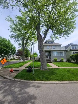 The Better Option Lawn Care Logo