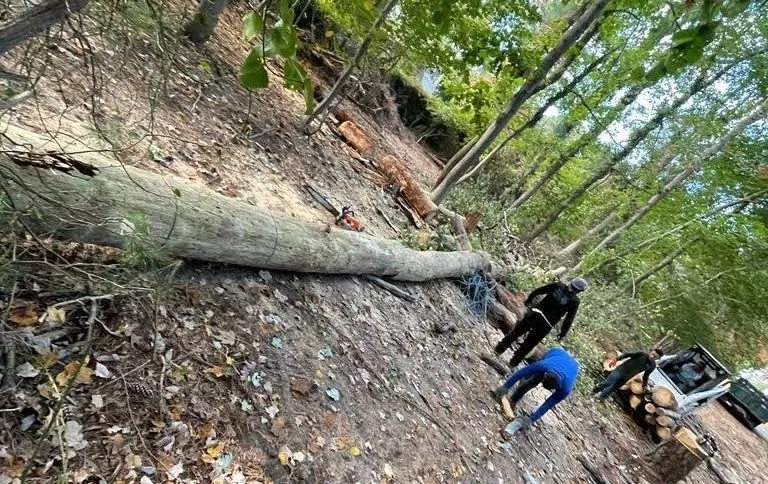 Trusted garden landscaping in Centereach, NY - The Big Forest Tree Service