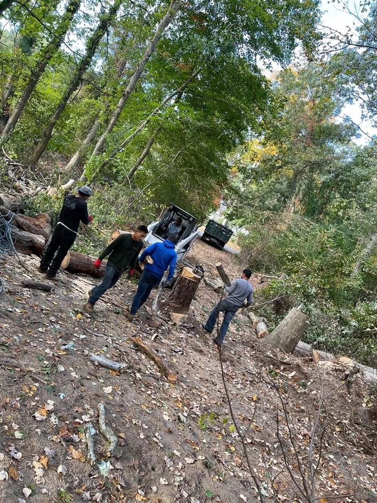 Professional garden landscaping for outdoor upgrades across Centereach, NY - The Big Forest Tree Service