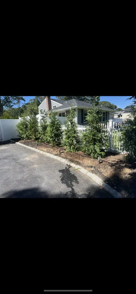 Expert residential landscaping experts serving Centereach, NY - The Big Forest Tree Service