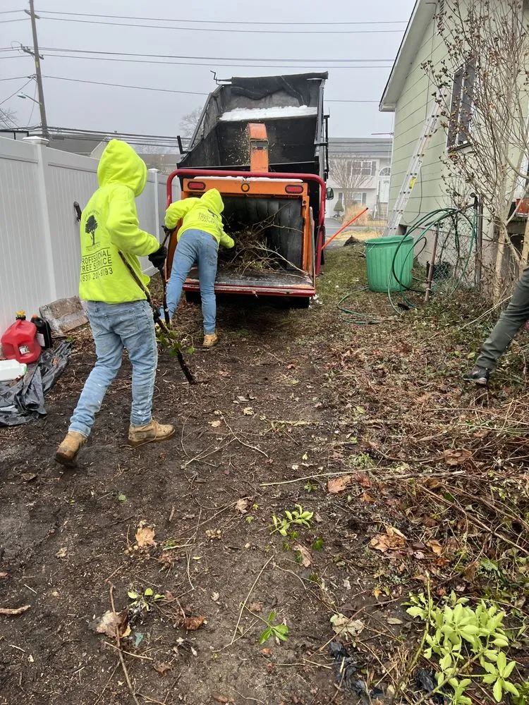 Expert landscape installation in Centereach, NY by The Big Forest Tree Service